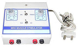 BIOTRONIX MUSCLE STIMULATOR ELECTROTHERAPY DEVICE PORTABLE DUAL CHANNEL FOR MUSCLE STRENGTHENING with 2 year Warranty