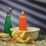 Why Professional Cleaning Services Are Essential for Hillside Homes
