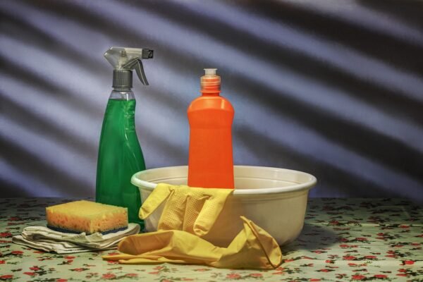 Why Professional Cleaning Services Are Essential for Hillside Homes