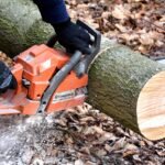 How to Choose the Right Forestry Equipment for Your Needs