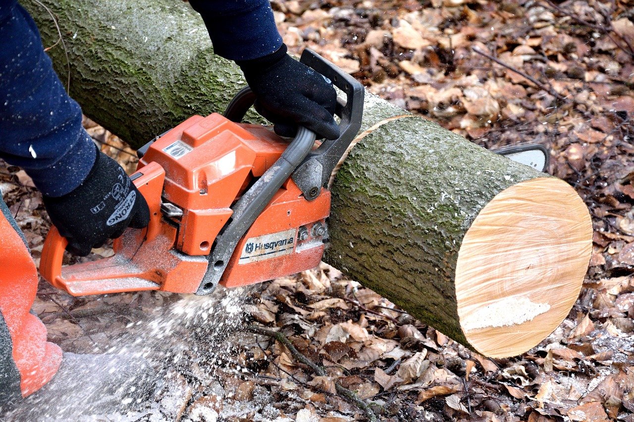 How to Choose the Right Forestry Equipment for Your Needs
