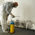asbestos removal services