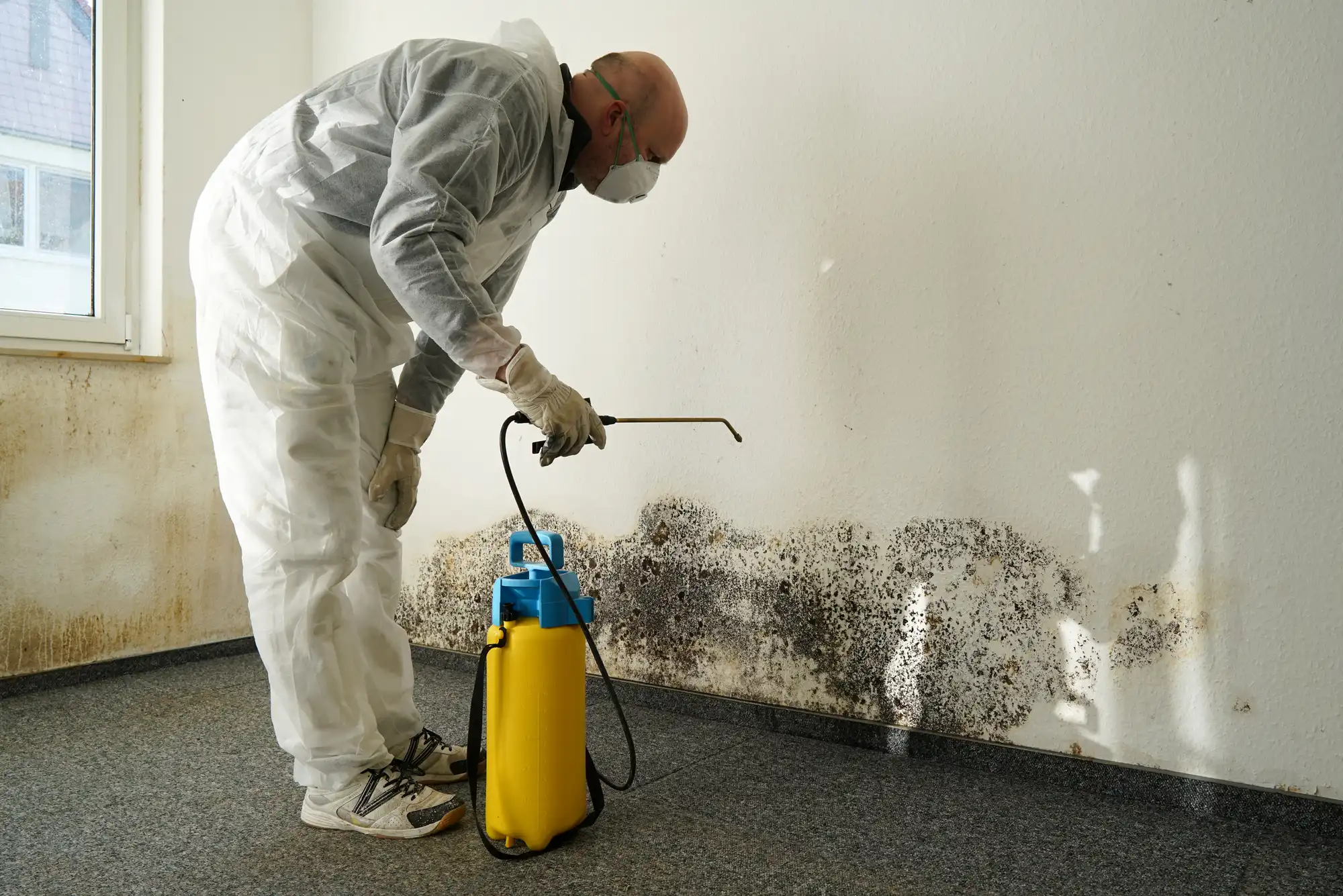 asbestos removal services